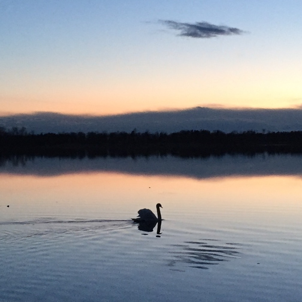 9C6E08E6-E176-4AA5-B197-F83262EDECF6