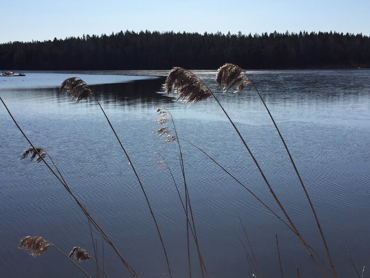 lite is på sjön