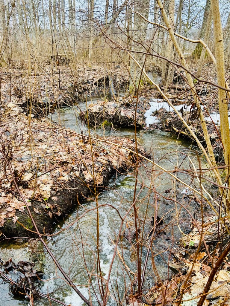 skummande vårbäck, smältande snö